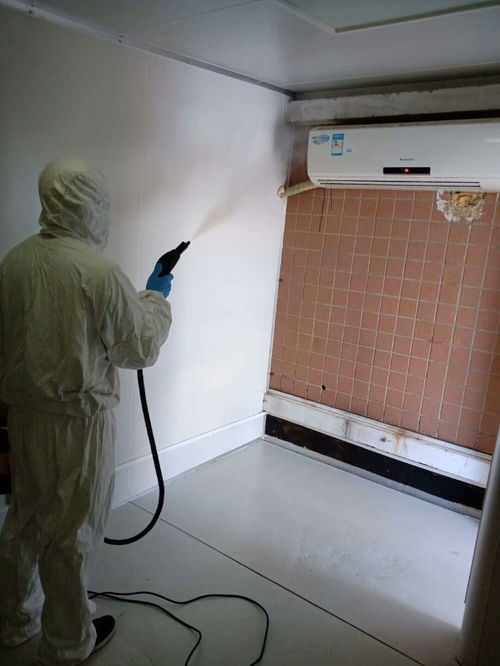 圖 楊家坪清潔服務公司 各種類型清潔小時專業服務 重慶家政