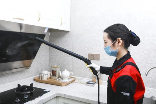 安心找家政，幸福購生活——三替集團(tuán)上演家政年貨盛宴